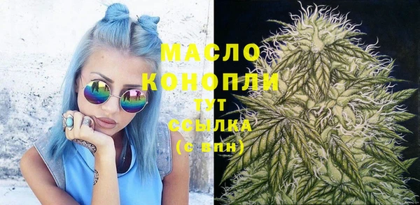 шишки Ельня