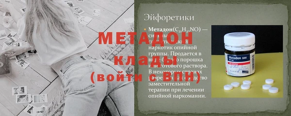 шишки Ельня