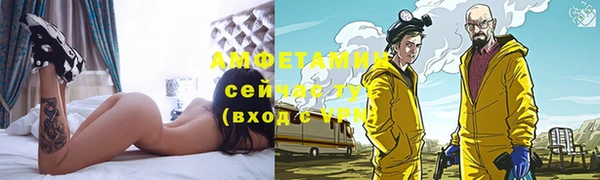 сатива Елизово