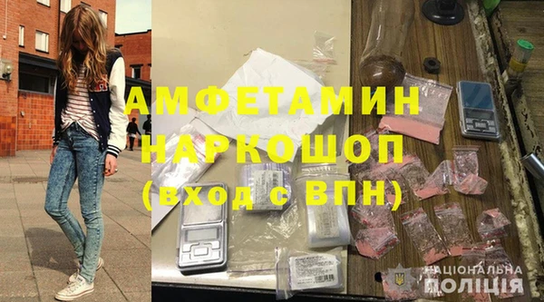 шишки Ельня
