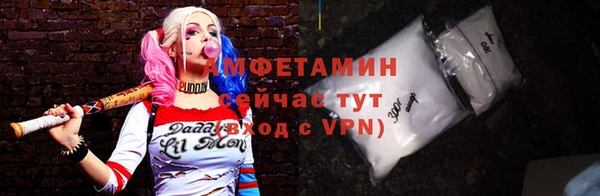 шишки Ельня