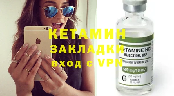 шишки Ельня