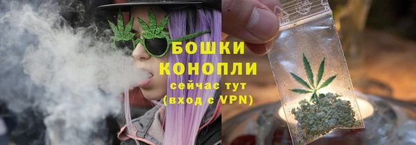 шишки Ельня