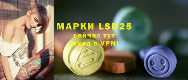шишки Ельня