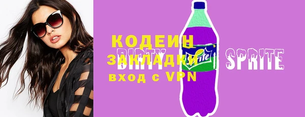 шишки Ельня