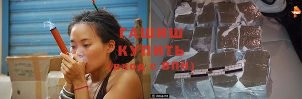 шишки Ельня