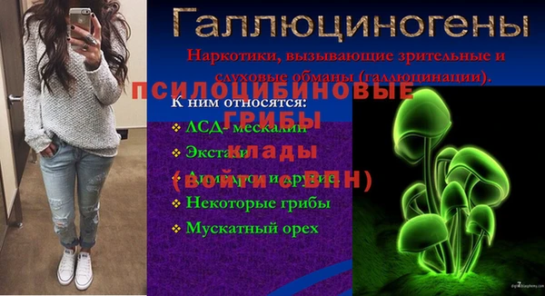 сатива Елизово
