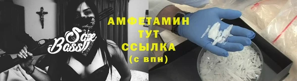 сатива Елизово