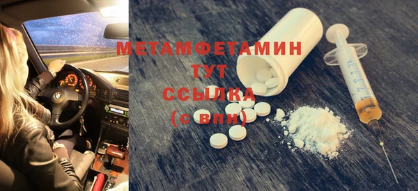 шишки Ельня