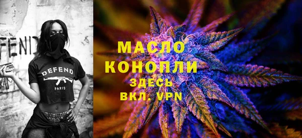 шишки Ельня