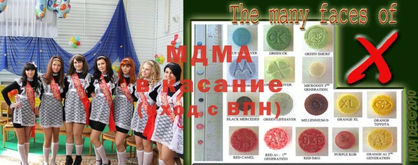 шишки Ельня