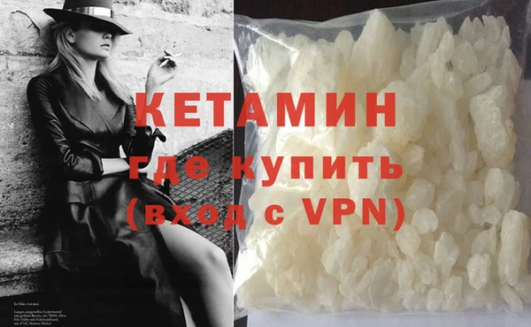 шишки Ельня