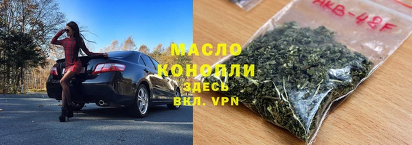 шишки Ельня