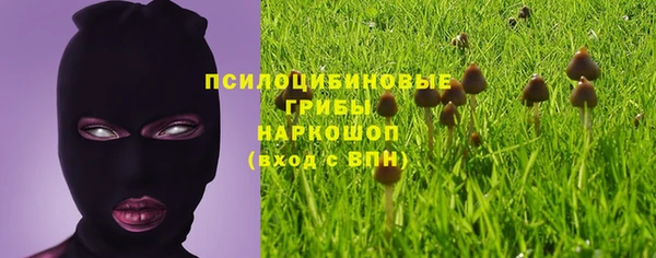 spice Елабуга