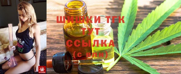 spice Елабуга