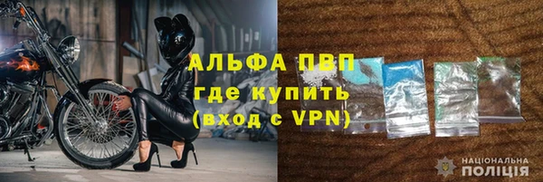 шишки Ельня