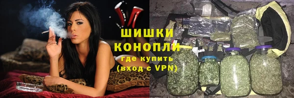 сатива Елизово