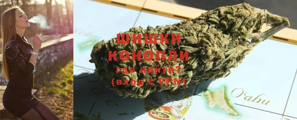 шишки Ельня