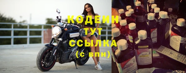 шишки Ельня