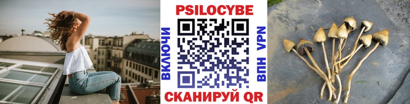 Купить  Россошь  Галлюциногенные грибы Psilocybine cubensis 